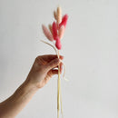 Hand holding small bundle of natural dried bunny tail grass in pink and cream tones with thin stems tied with twine.