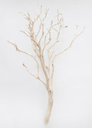Dried Manzanita Branches - Sandblasted