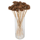A clear glass vase containing several bunches of brown natural on stem flowers, presumably cedar roses.