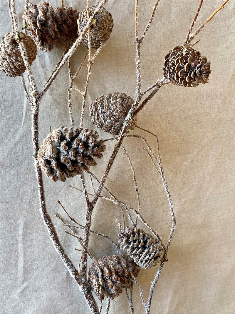 Mt. Laurel Branch Cones | 4 Bunches