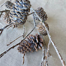 A collection of Mountain Laurel branches with pine cones, arranged on a flat surface.