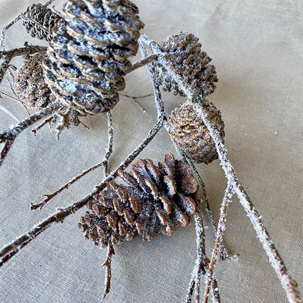 Mt. Laurel Branch Cones | 4 Bunches