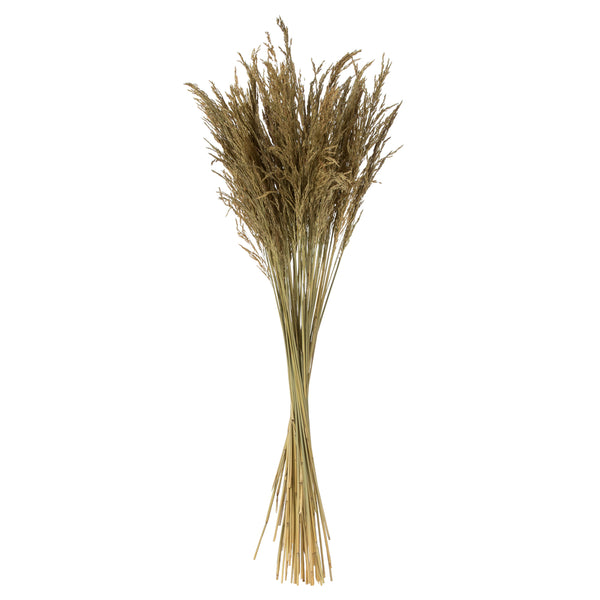 36" Natural Congo Grass, 8 oz Bundle