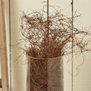 Angel Vine | 5 Lbs | Natural