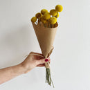 Hand holding a bouquet of yellow flowers wrapped in brown paper against a white background