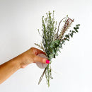Hand holding small bundle of natural dried greenery with various textures, wholesale bulk style.
