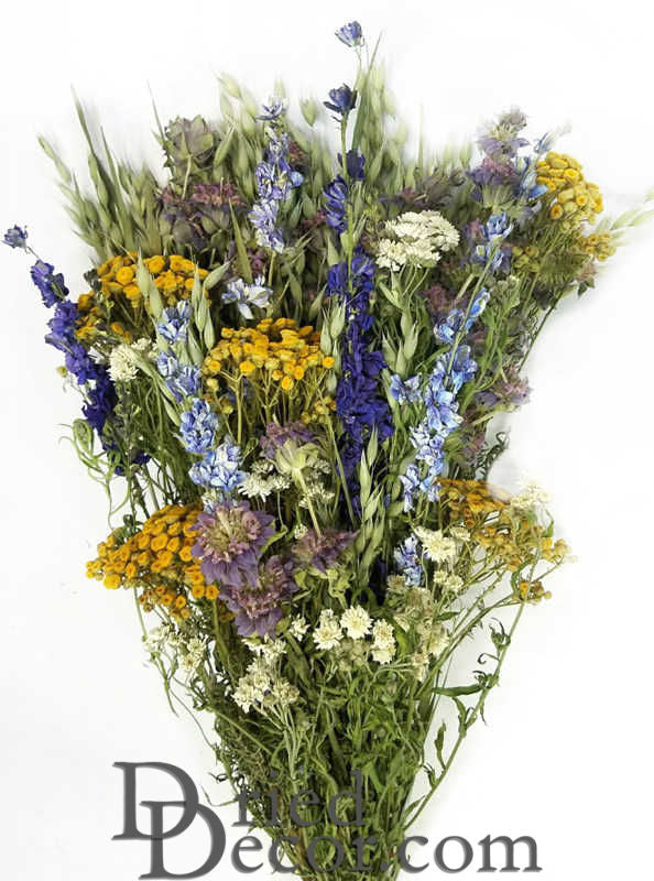 Dried Mountain Meadow Flower Bouquet | Multicolor
