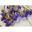 Dried Statice Sinuata Flower Bunch | 20 Bunches | Lavender