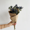 Hand holding a bouquet of thistle flowers wrapped in brown paper against a light background