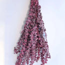 Bundle of dried natural eucalyptus branches in deep red, perfect for wholesale bulk decor.