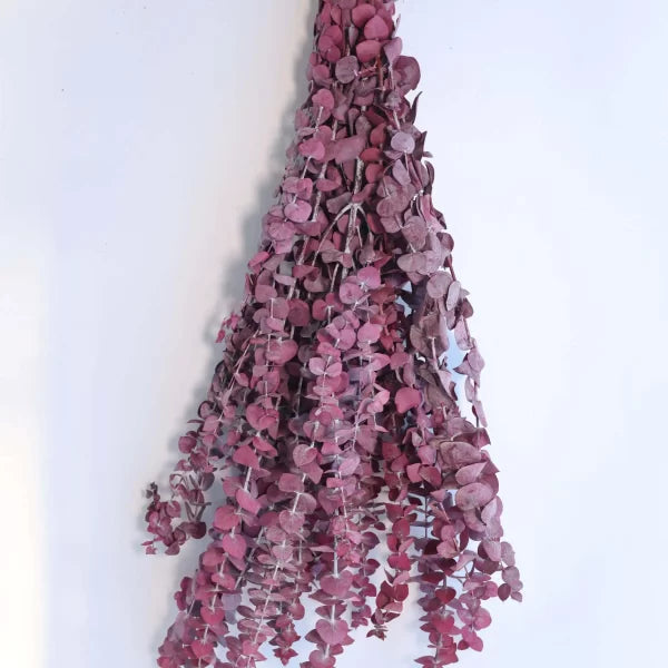 Preserved Eucalyptus Branches for sale | Red