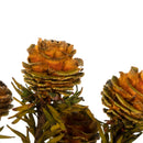 Bulk dried natural pine cones in autumn tones with green foliage, wholesale bundle.