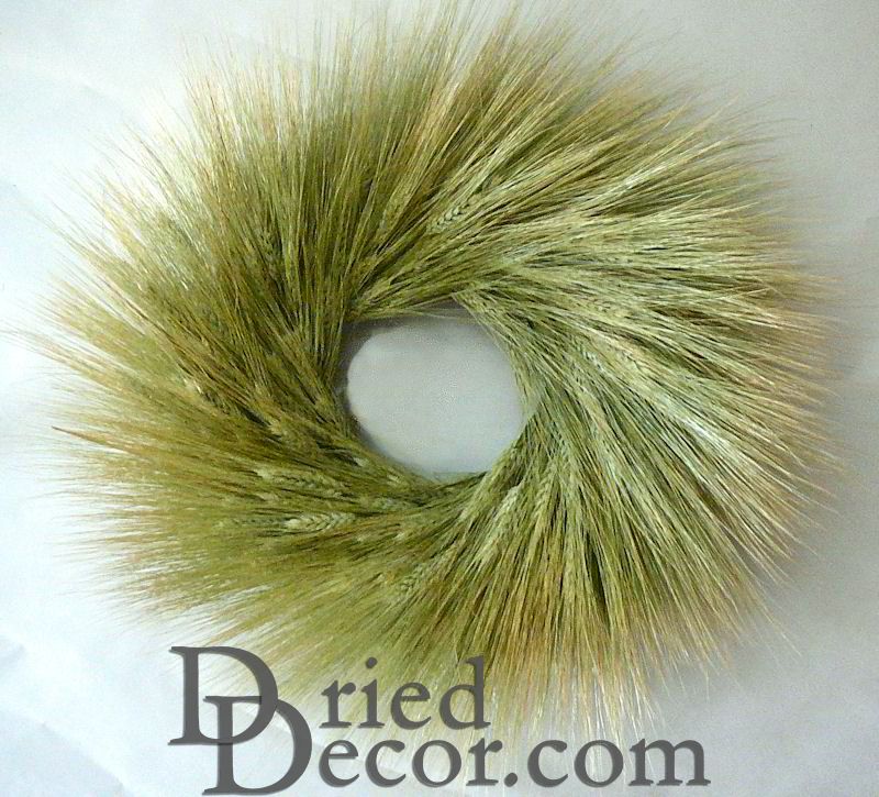 Bearded Green Wheat Wreath - 19 inch | Light Green