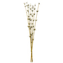 Natural dried bamboo reed branches bundled for wholesale bulk decor.