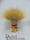 Bundle of dried natural wheat stalks tied with red and beige ribbons, wholesale bulk bouquet.