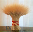 Bulk bundle of natural dried wheat stems tied with red and beige ribbon on wooden surface.