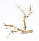 Two dried natural sandblasted wood branches in light brown, bulk decorative display.
