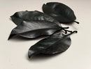 Preserved Magnolia Leaves | Bulk Box | Green
