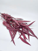 Bulk dried natural eucalyptus branches preserved in deep red, wholesale bunches.