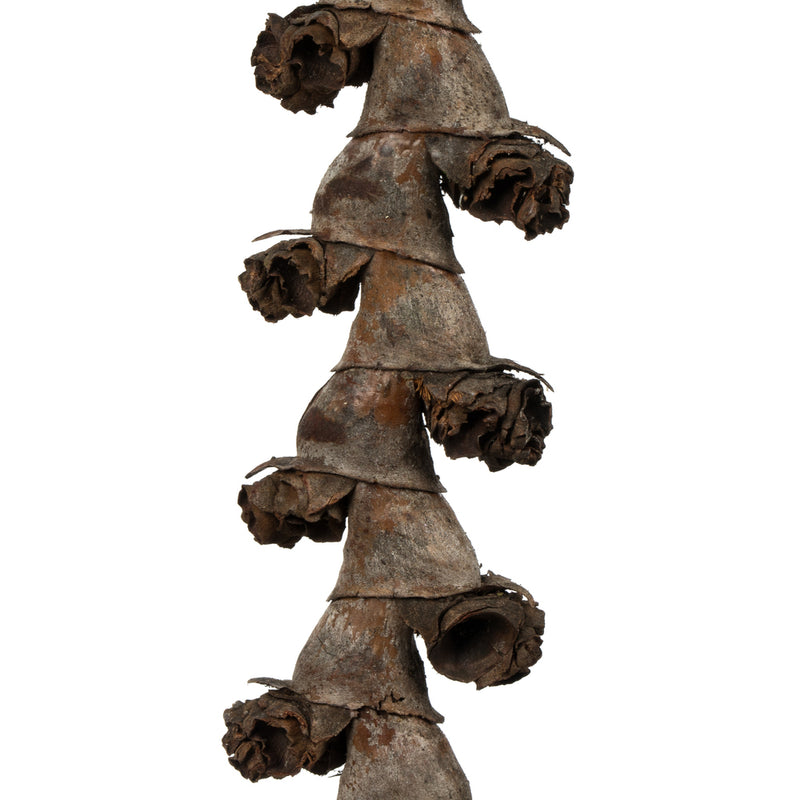 Natural Ladder Branches | 12 Bundles | Natural