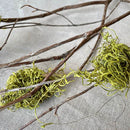 Bunches of mountain laurel branches with attached moss on a linen surface.