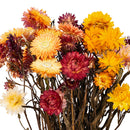 Dried assorted straw flowers in natural yellow, orange, red, and cream shades, bulk wholesale bundle.