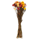 A bundle of dried natural assorted straw flowers, primarily in shades of yellow and red, stems included.