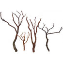 Dried Manzanita Branches