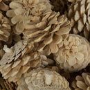 Bulk dried natural pinecones bleached to a soft blue-white color, 2-inch size, wholesale quantity.