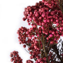Bulk dried natural rice flower bundles in vibrant pink, perfect for wholesale arrangements.