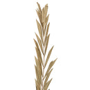 27-inch dried natural Rahul stick with 8 stems, wholesale bulk bunch.