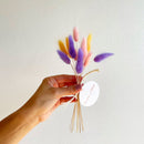 Hand holding a bouquet of colorful dried flowers with a white background