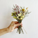 Hand holding a bouquet of dried flowers against a plain background