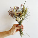 Small neutral dried flower bundle with white, beige, and green natural stems held in hand.