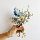 Hand holding a bouquet of dried flowers against a white background