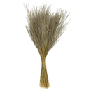 A bundle of dried, natural snowdrop grass with a beige color tone.