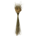 A bundle of natural dried tulips with brown and beige tones.