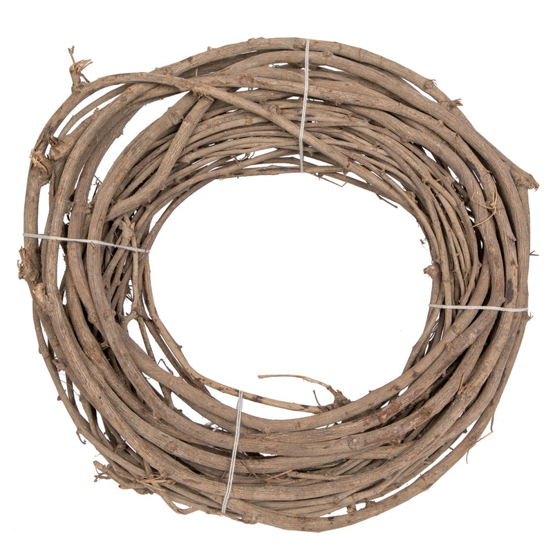 Sundari Lata | 2 Per case | Natural