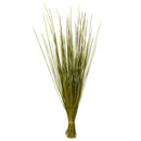 A bundle of dried basil whip grass with a rich green color, tied at the base.