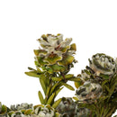 Natural dried Tortum flowers in bulk, green and white shades, wholesale 25-bunch bundle.