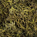 Bulk dried natural green wolf lichen arranged in trays for wholesale floral supplies.