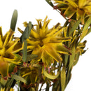 Bulk wholesale dried yellow Plumosum flowers with natural textured petals and green stems.