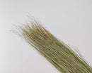 Bundle of natural dried dune grass with fine, wispy green and tan stems, wholesale bulk set.