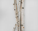 Bundle of dried natural white birch poles with peeling bark, ideal for wholesale decorative use.