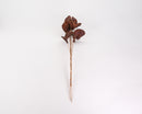 Bulk dried natural badam nut pod bunch with brown textured seed pods on long stems.