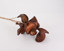 Dried natural badam nut pod cluster with rich brown tones, wholesale bulk bunches.