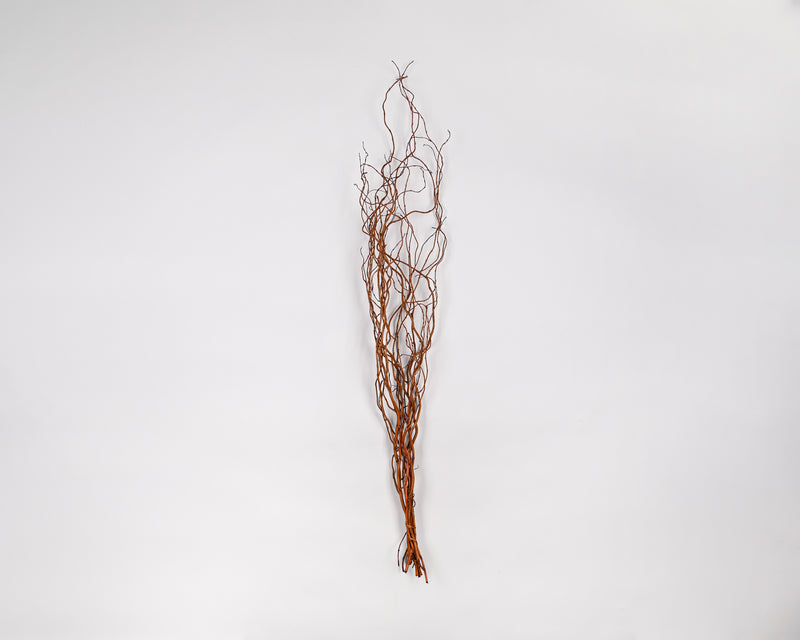 Curly Willow Branches (Long Stem) | Brown
