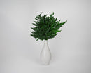 Bulk dried natural green Leatherleaf branches arranged in white vase for wholesale use.