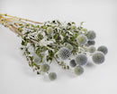 Bundle of light blue dried Echinops globe thistle flowers with natural stems, wholesale bulk pack.