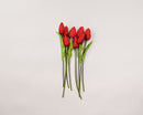 Bundle of eight 10-inch red dried tulips with green stems and leaves, natural wholesale bulk.